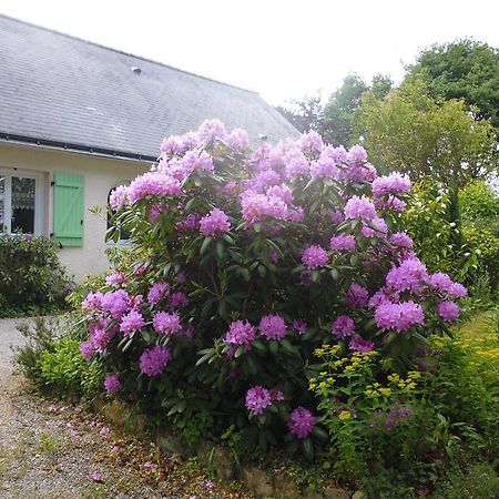 Le Pre De La Lande Bed & Breakfast La Chapelle-Sur-Erdre Ngoại thất bức ảnh